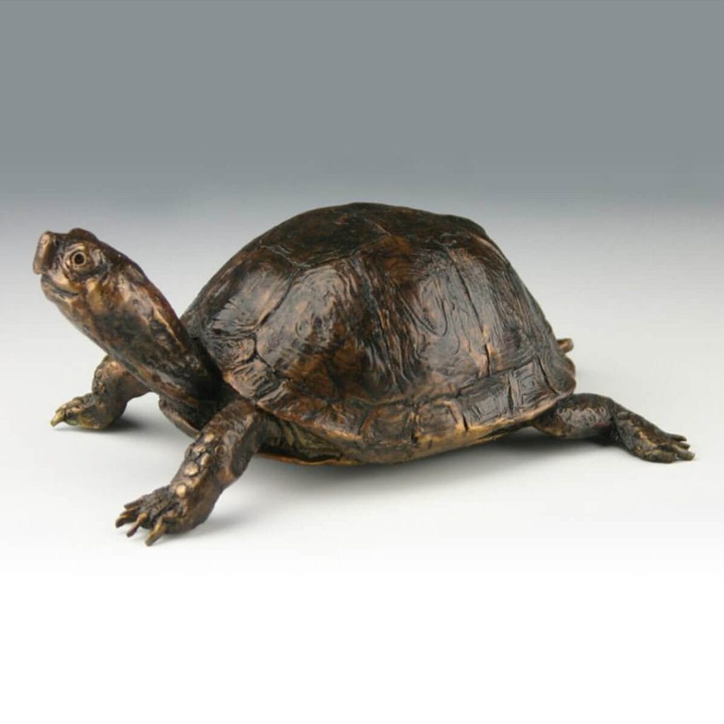 Eastern Box Turtle bronze sculpture by Mark Dziewior at 7 Mile Creek Studio.